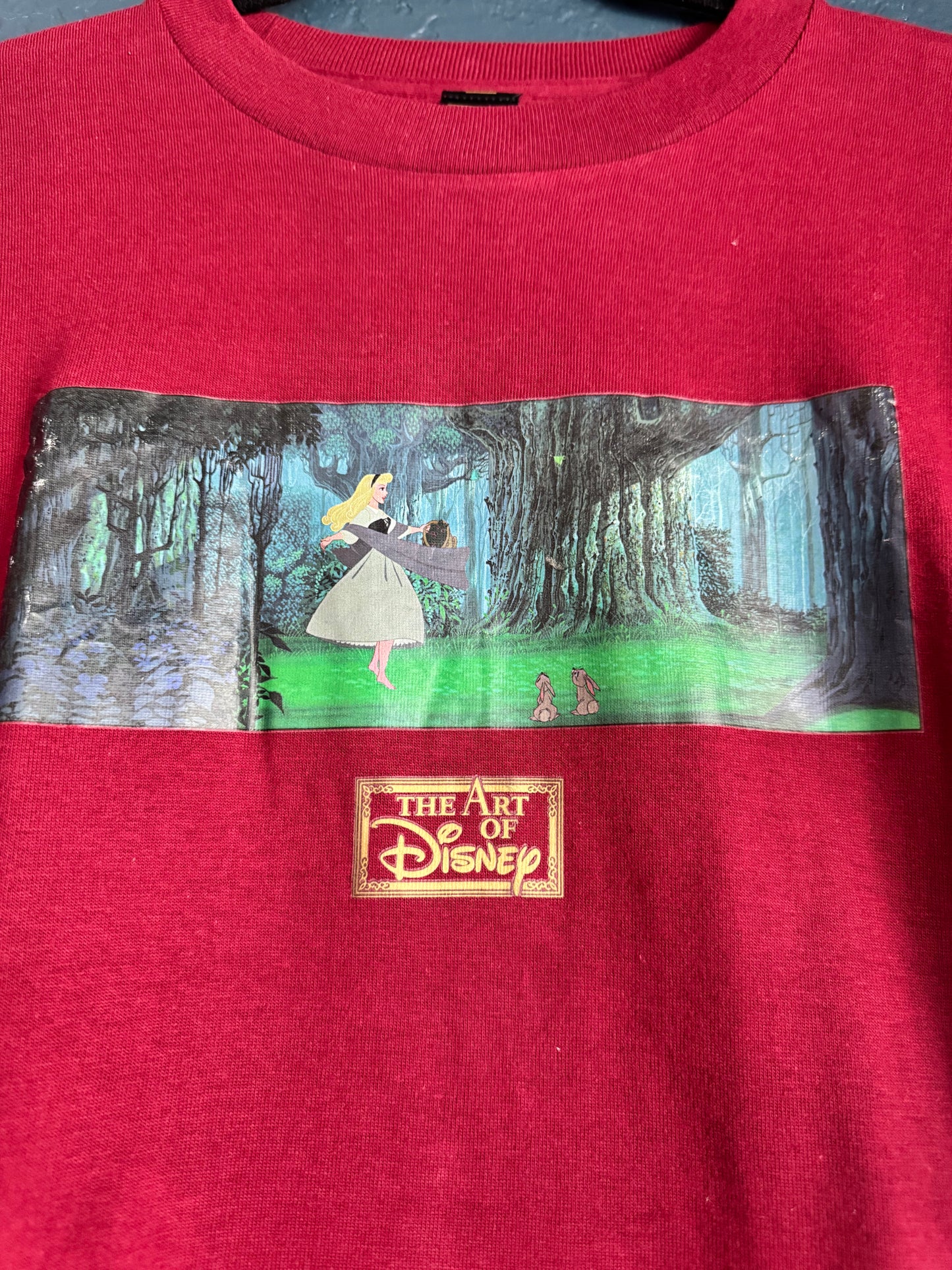 Sleeping Beauty Shirt