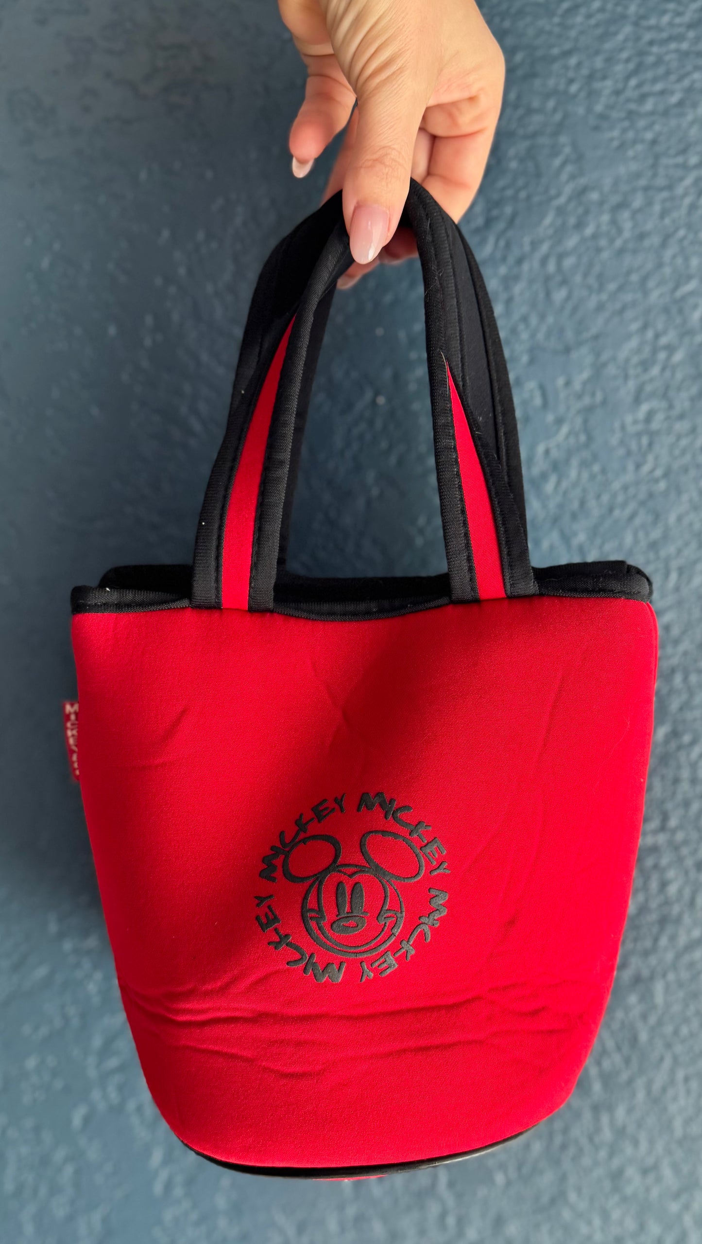 Mickey Handbag