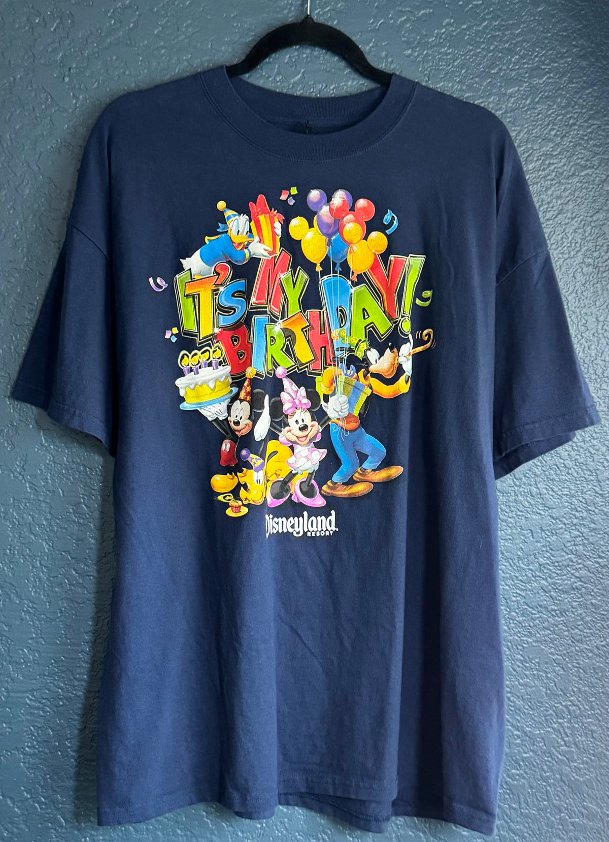 Disney Birthday Shirt