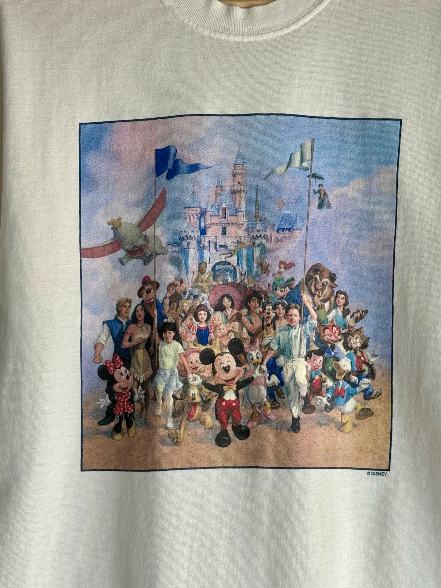 Disney 45 Year Celebration Character Tee