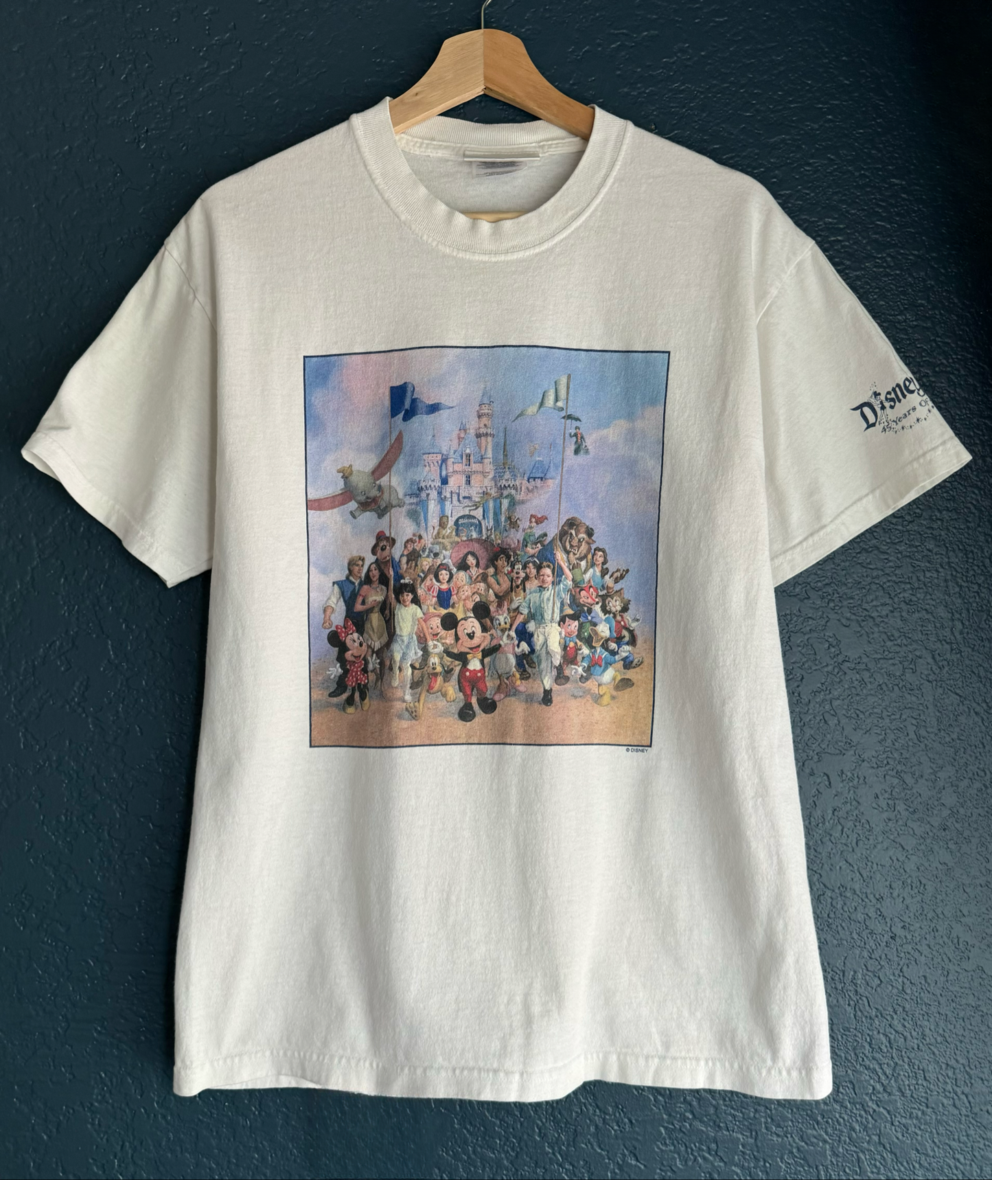 Disney 45 Year Celebration Character Tee