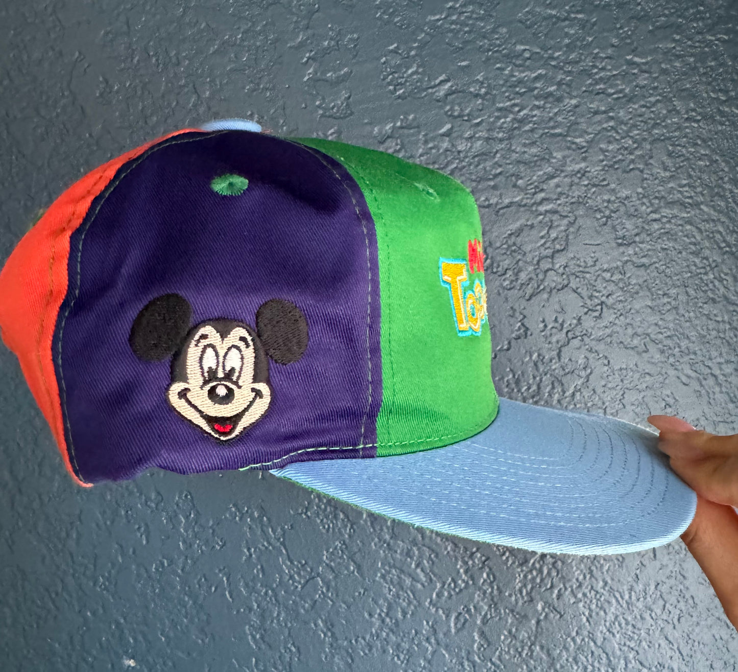 ToonTown Hat