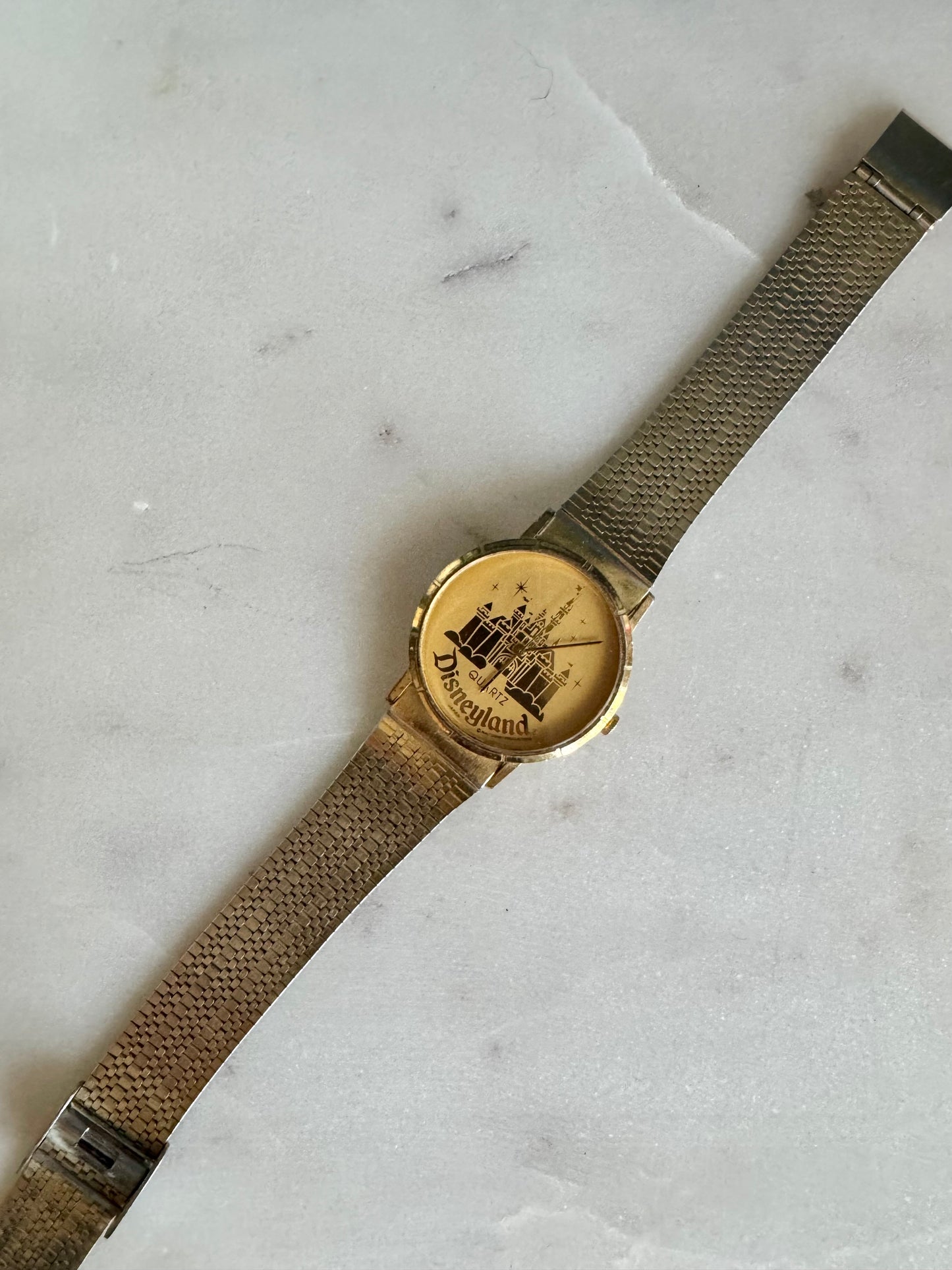 Disneyland Watch