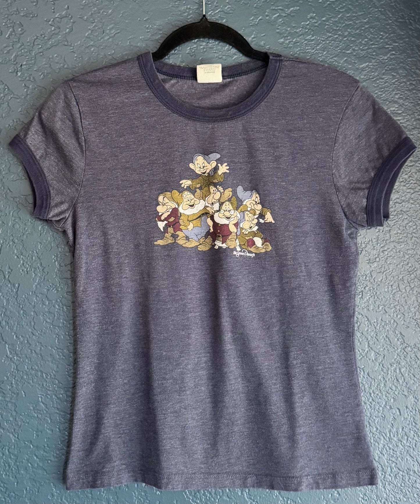 Seven Dwarfs Ringer Baby Tee