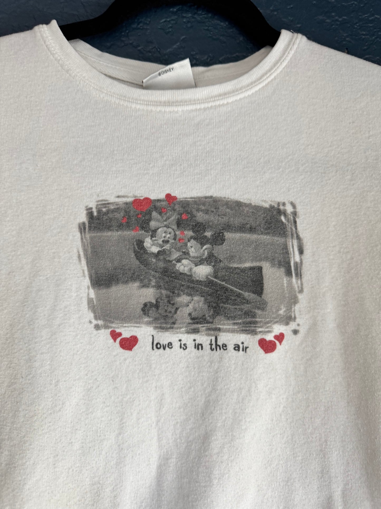 Mickey & Minnie Love in the Air Shirt