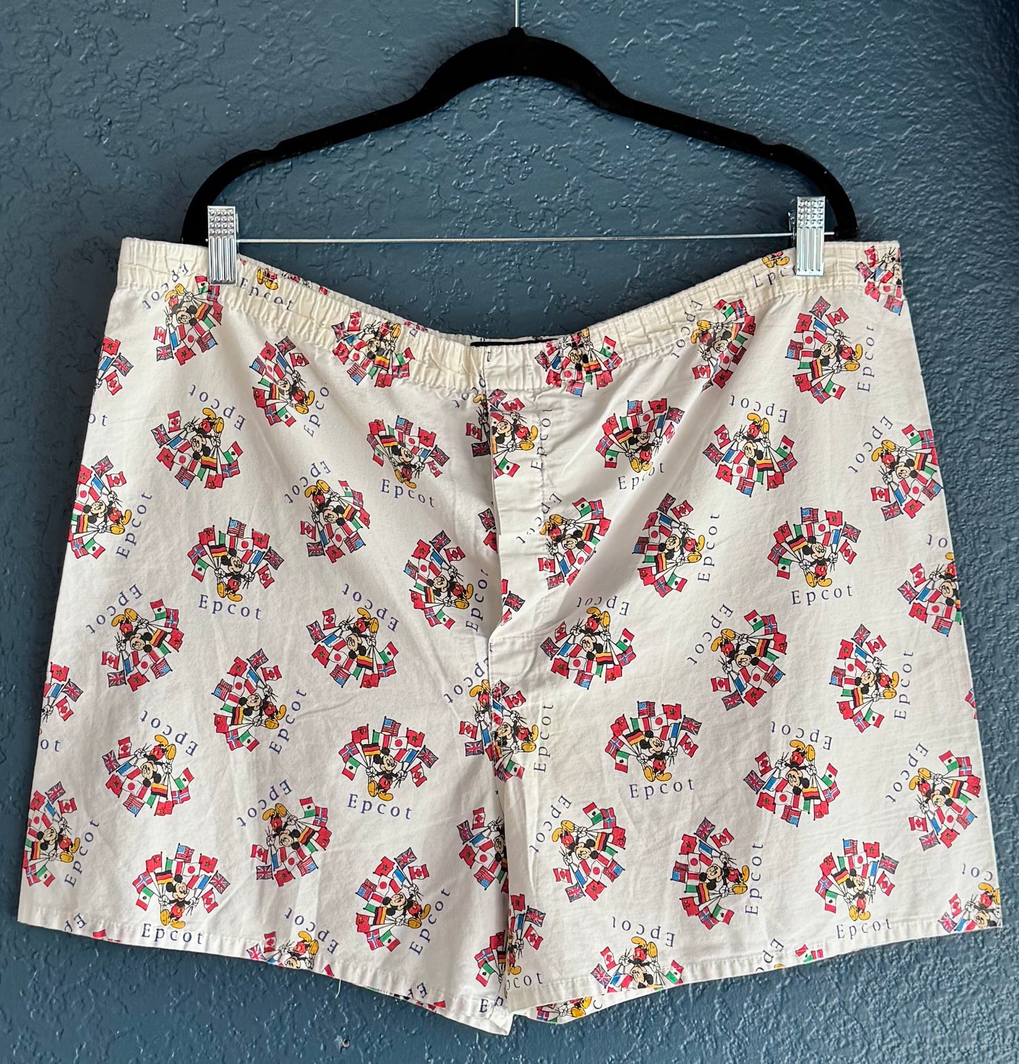 AOP Epcot Boxer Shorts