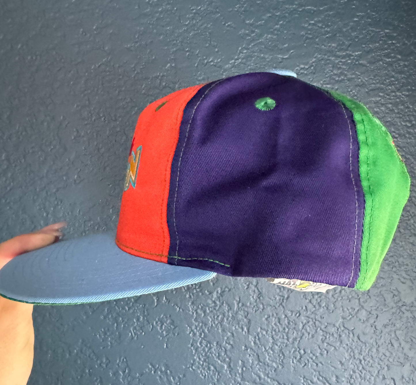 ToonTown Hat