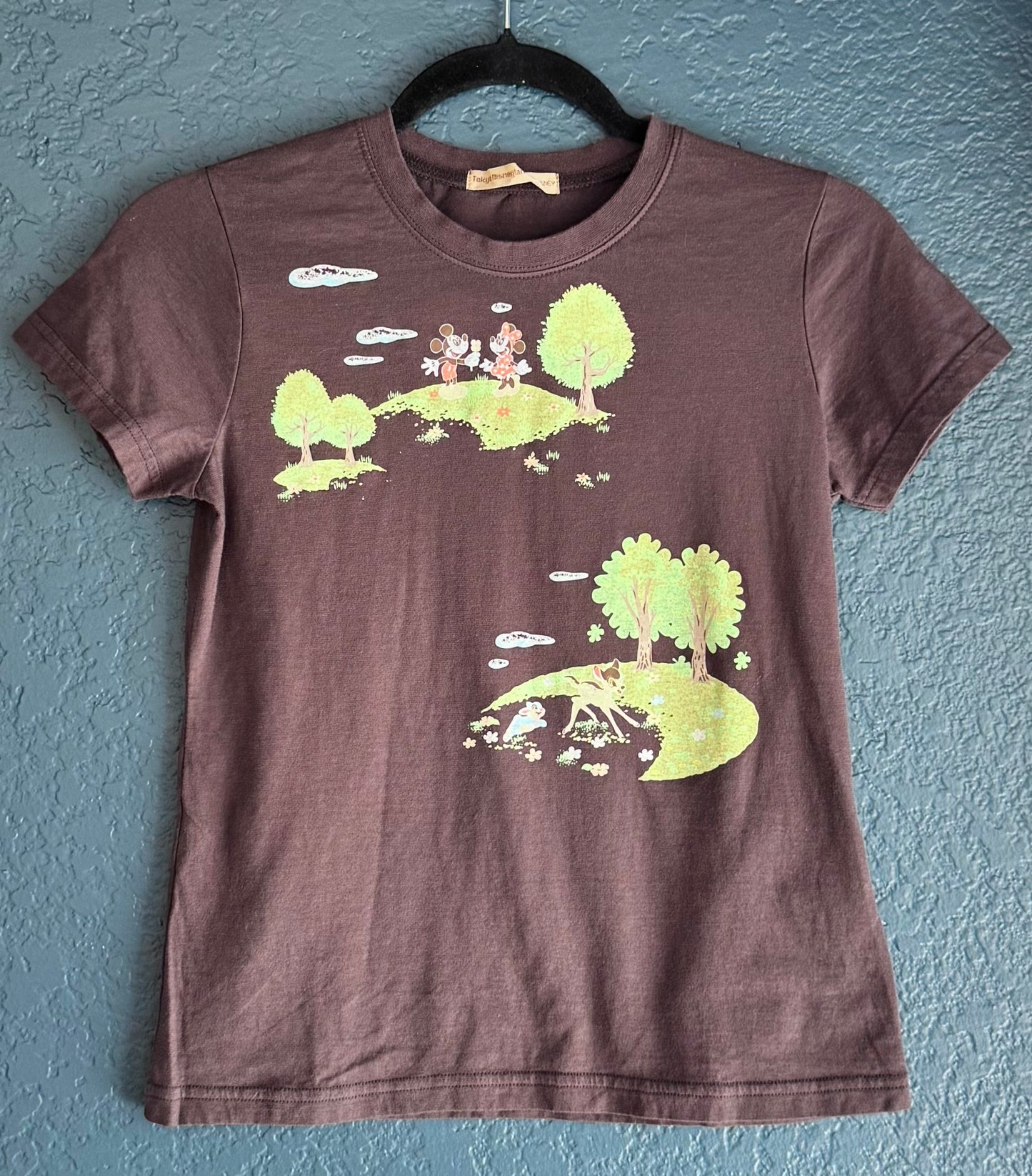Tokyo Disneyland Mickey & Friends Shirt