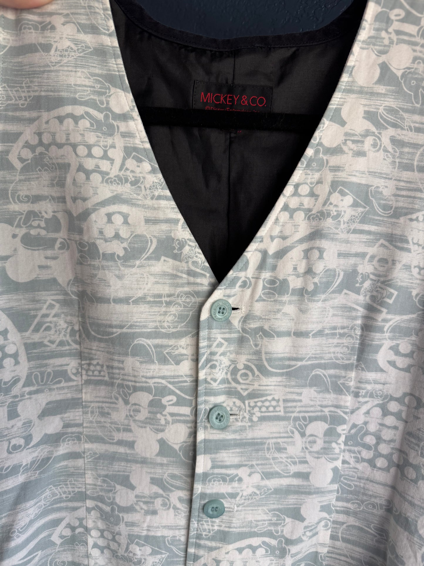 Hidden Mickey Vest