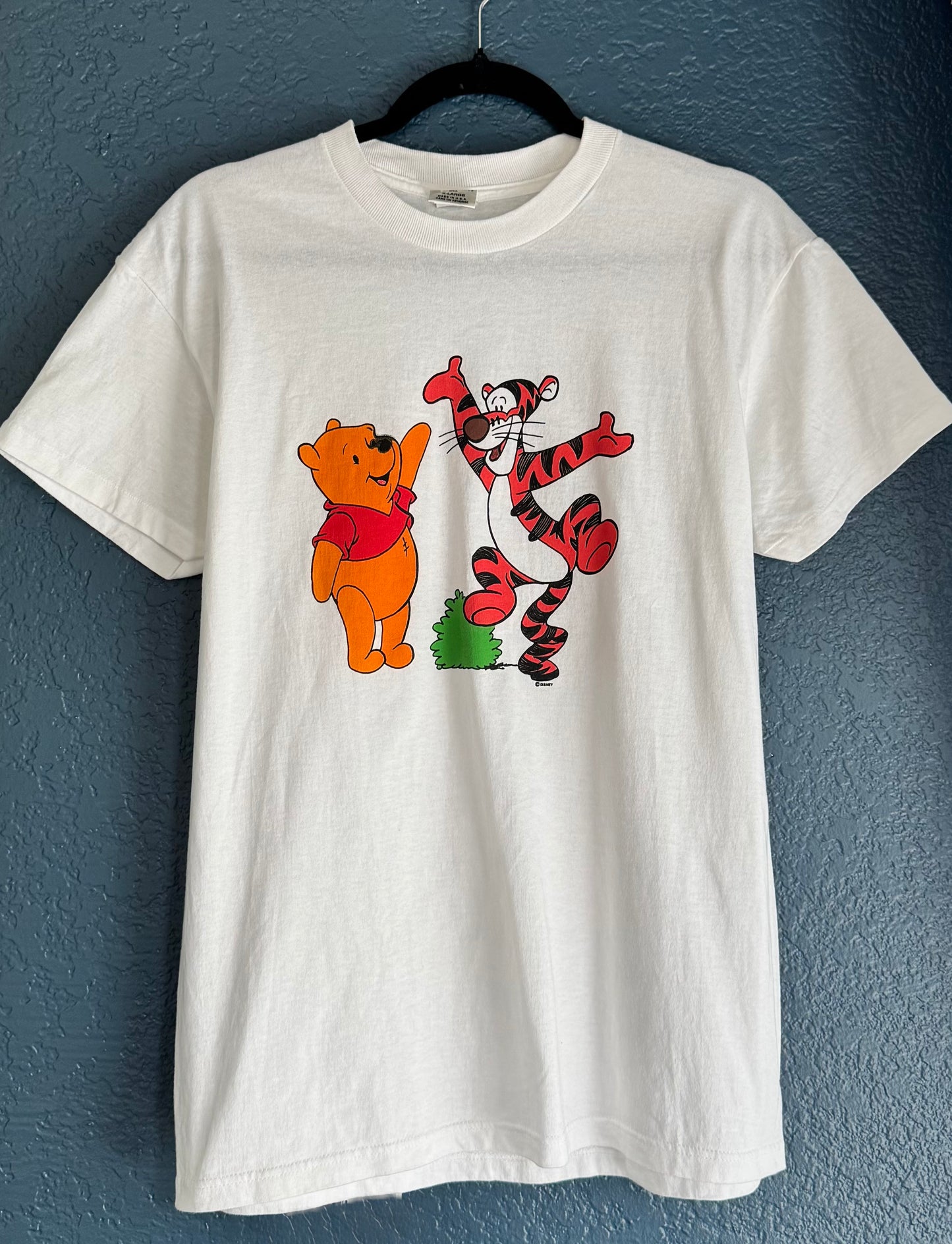 Winnie the Pooh & Tigger Shirt