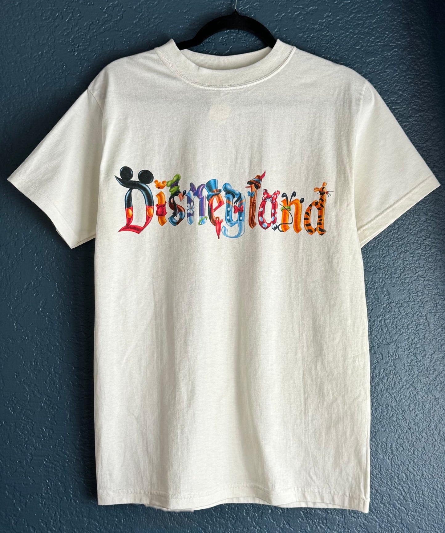 Disneyland Character Shirt - NWT
