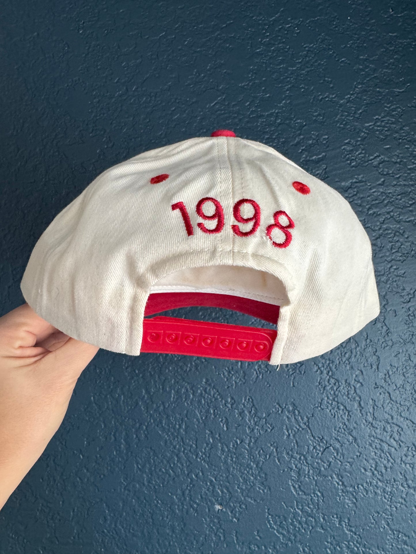 Red Embroidered Disneyland Hat