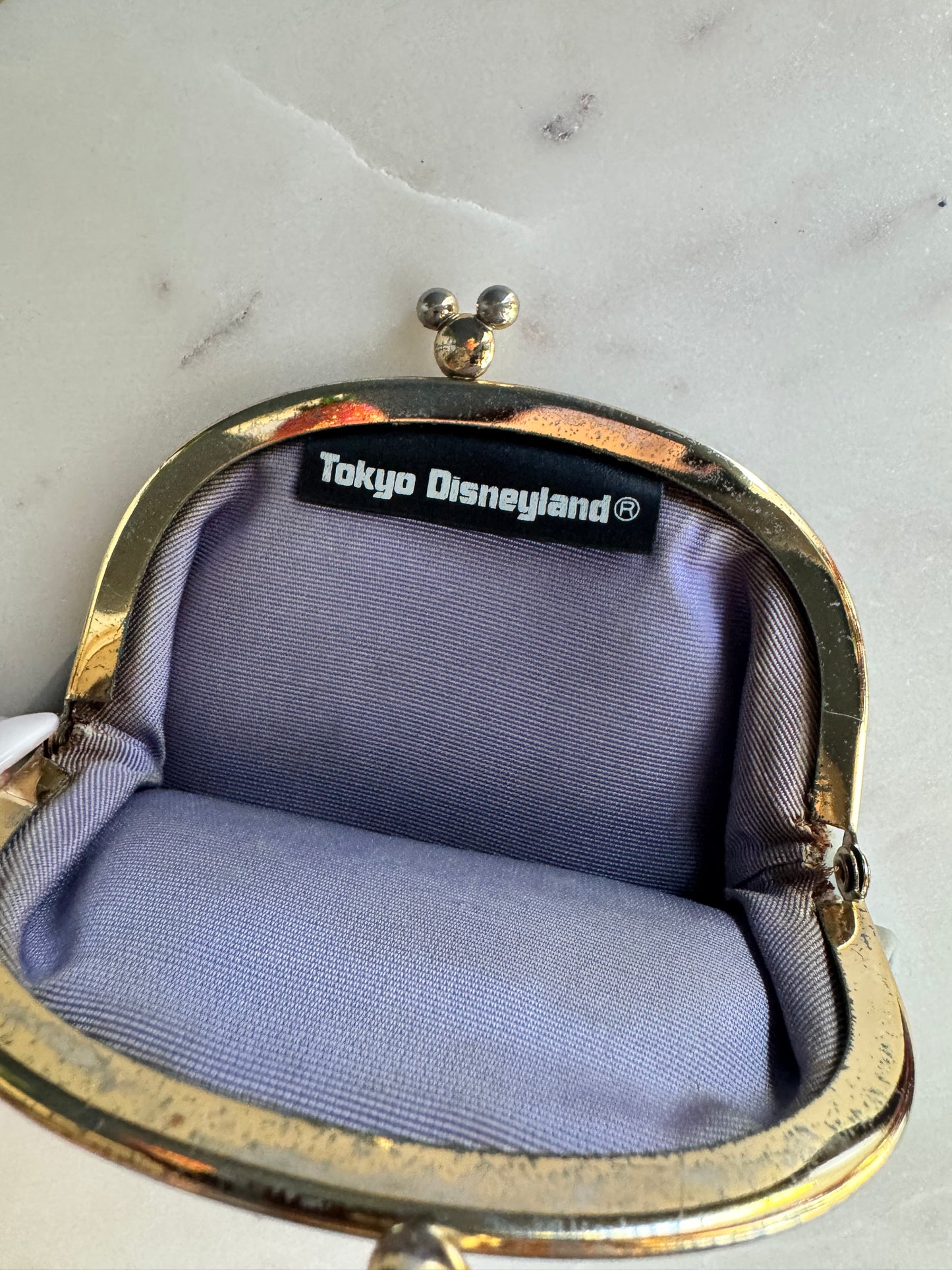 Tokyo Disneyland Coin Pouch
