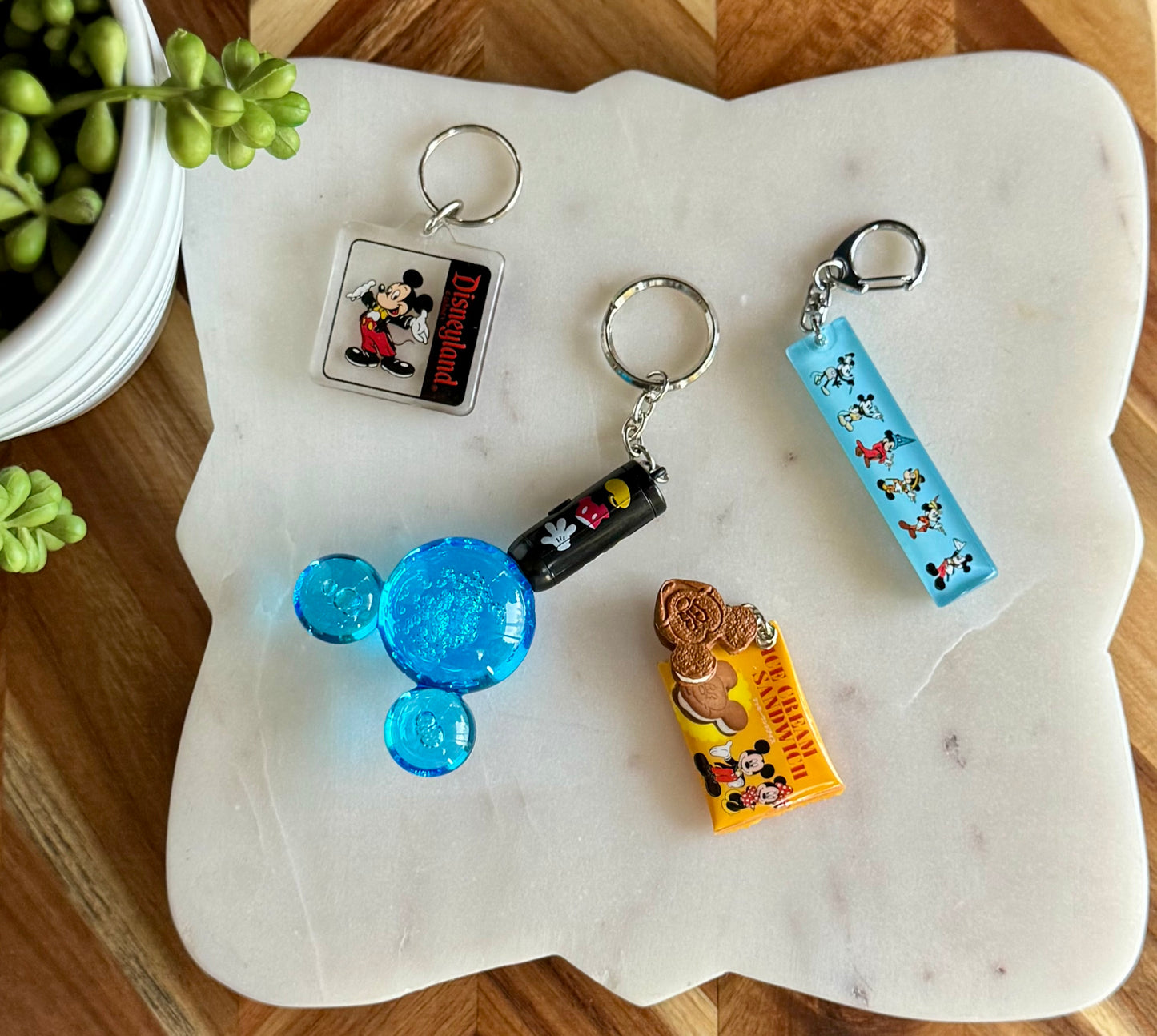 Tokyo Disney Misc Bag Charms / Key Chains