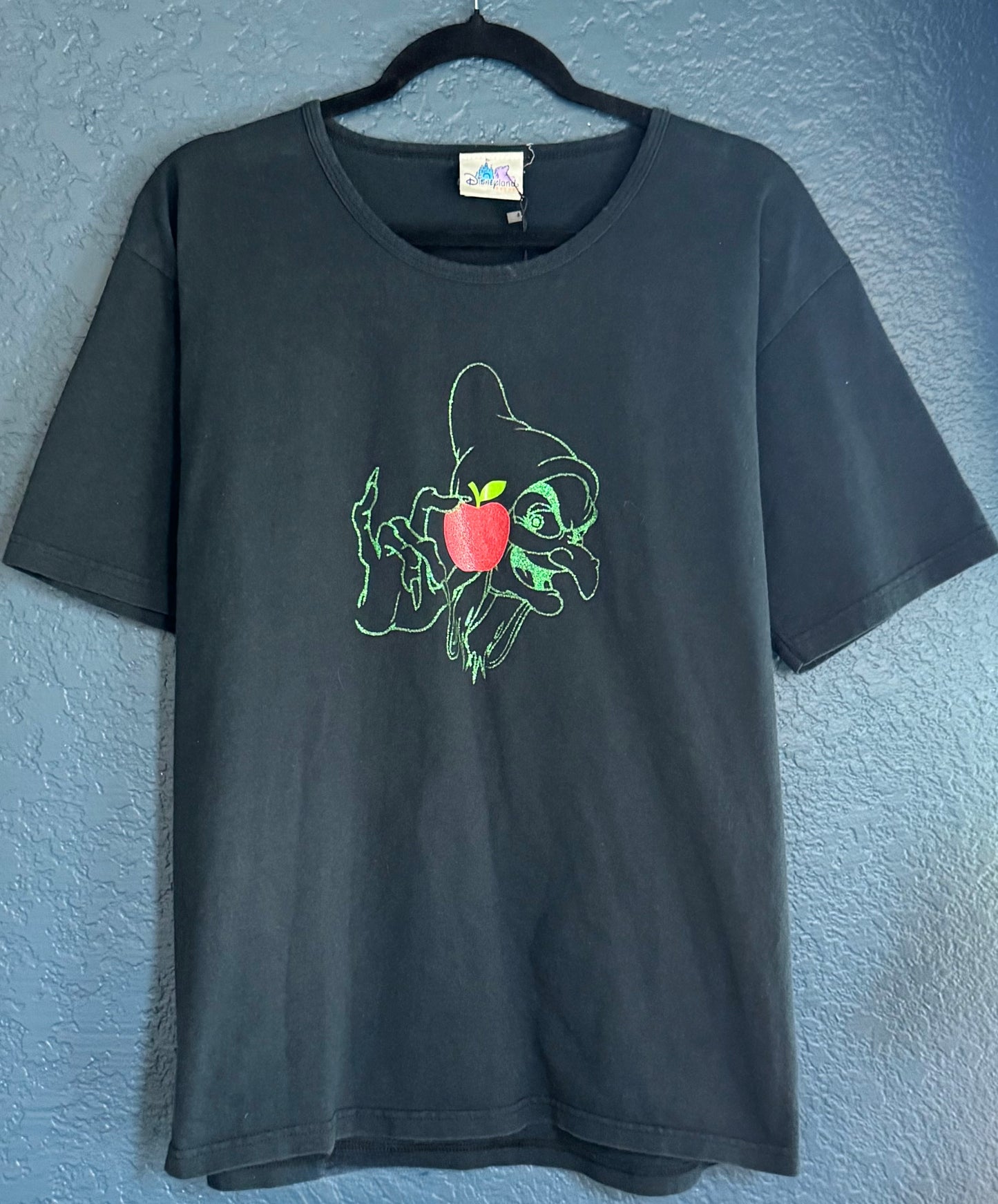 Evil Queen Witch Shirt