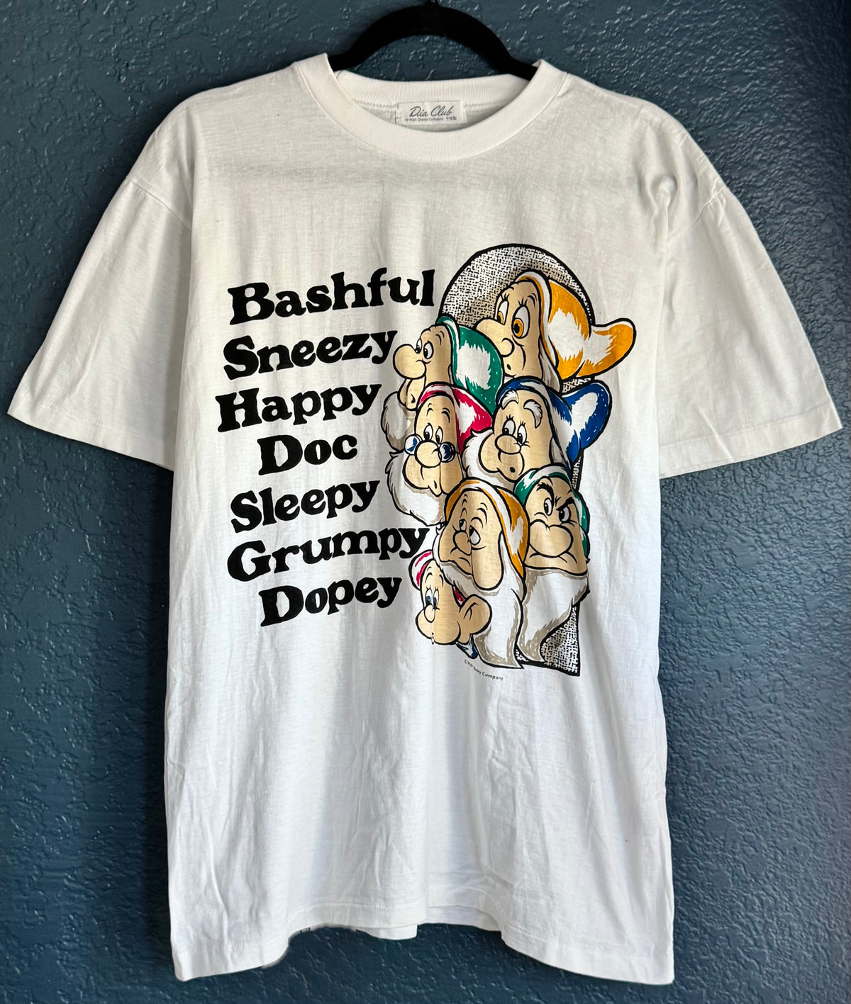 Seven Dwarfs Shirt