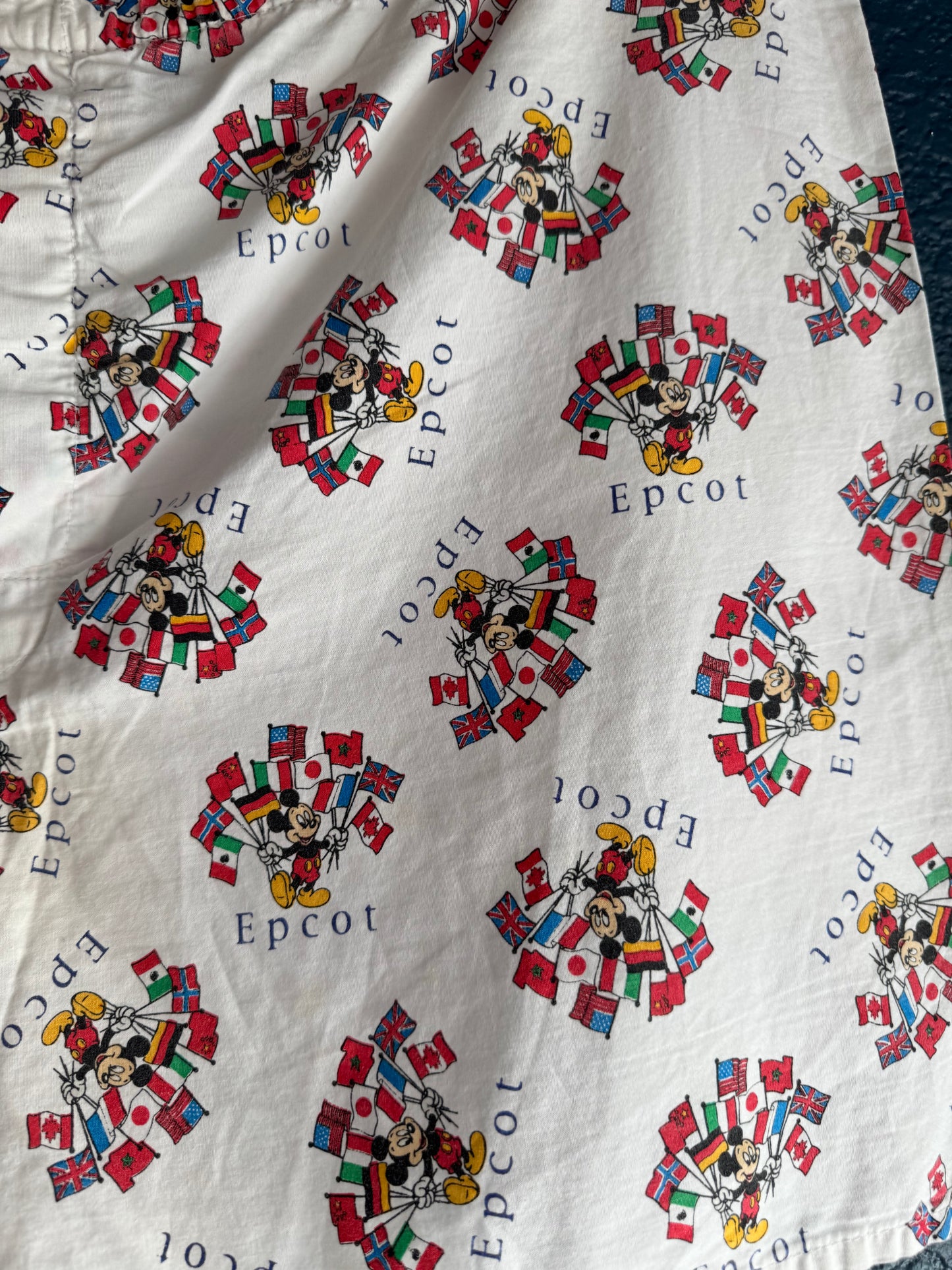 AOP Epcot Boxer Shorts