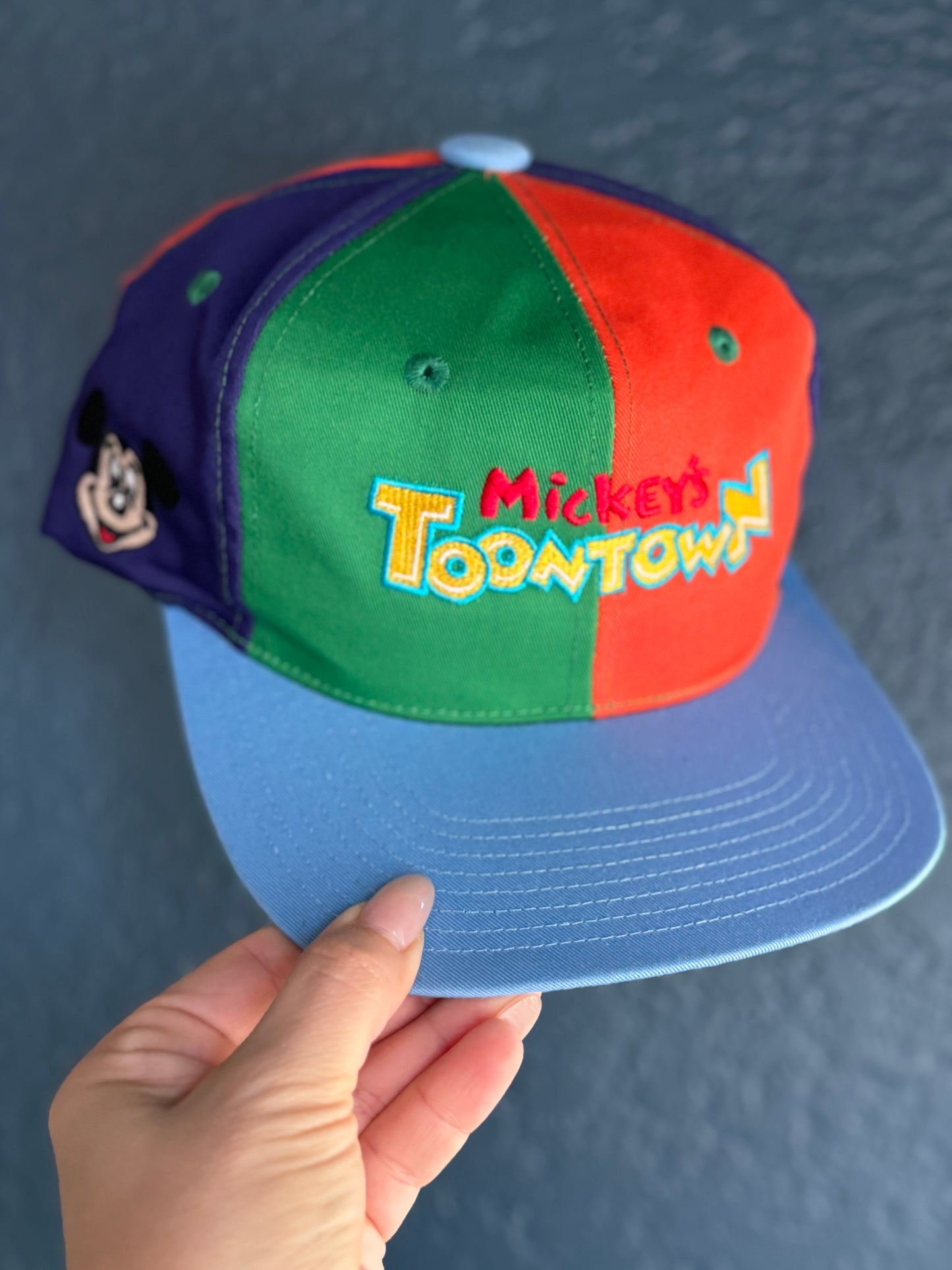 ToonTown Hat
